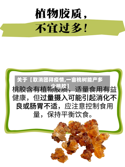 关于【取消团拜疫情,一亩桃树能产多少桃胶】-第1张图片