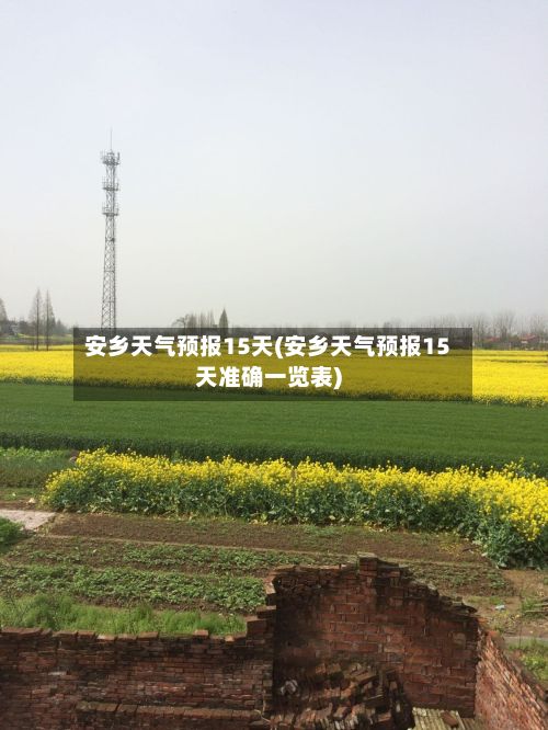 安乡天气预报15天(安乡天气预报15天准确一览表)-第1张图片