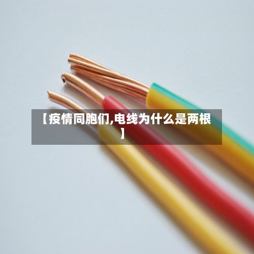 【疫情同胞们,电线为什么是两根】-第1张图片