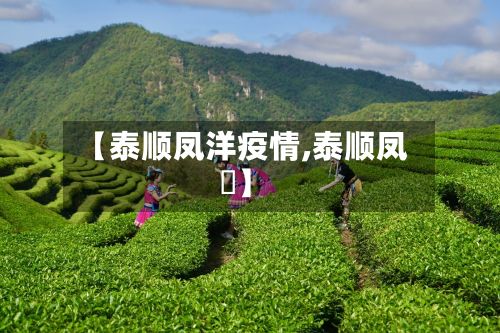 【泰顺凤洋疫情,泰顺凤垟】-第1张图片