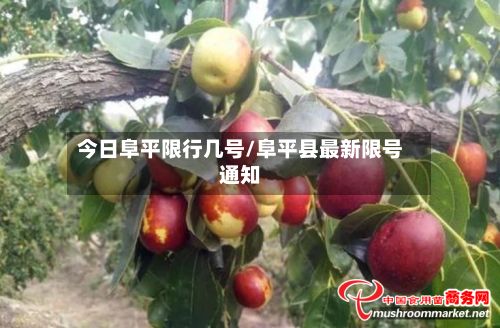 今日阜平限行几号/阜平县最新限号通知-第1张图片