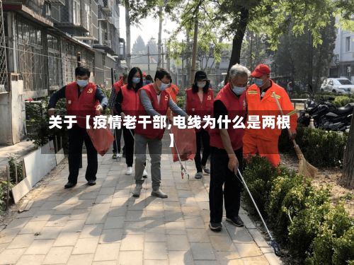 关于【疫情老干部,电线为什么是两根】-第1张图片