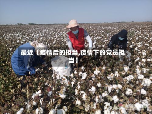 最近【疫情后的担当,疫情下的党员担当】-第1张图片