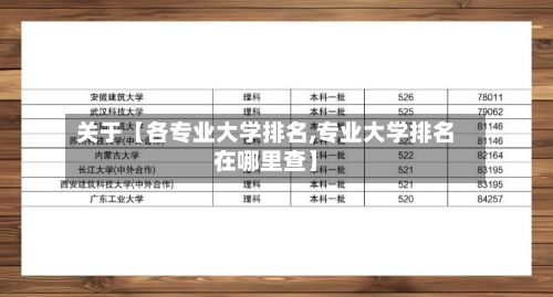 关于【各专业大学排名,专业大学排名在哪里查】-第1张图片