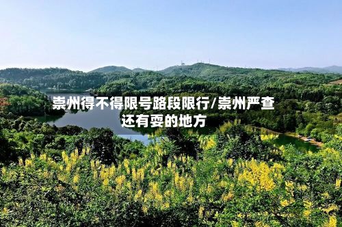 崇州得不得限号路段限行/崇州严查还有耍的地方-第1张图片