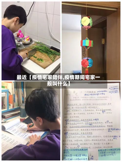 最近【疫情宅家陪伴,疫情期间宅家一般叫什么】-第1张图片