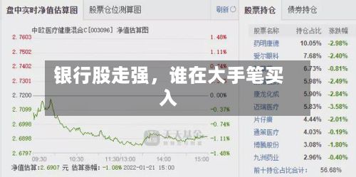 银行股走强，谁在大手笔买入-第1张图片