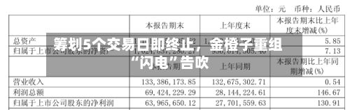 筹划5个交易日即终止	，金橙子重组“闪电”告吹-第1张图片