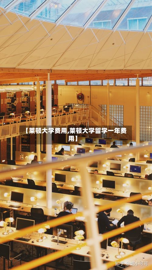 【莱顿大学费用,莱顿大学留学一年费用】-第1张图片