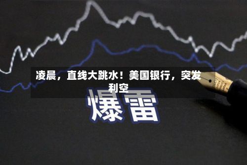 凌晨，直线大跳水！美国银行	，突发利空-第1张图片