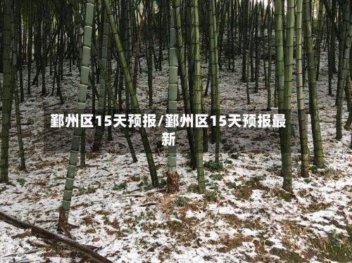 鄞州区15天预报/鄞州区15天预报最新-第1张图片