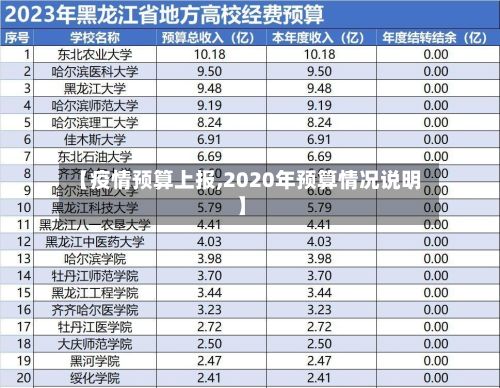 【疫情预算上报,2020年预算情况说明】-第1张图片