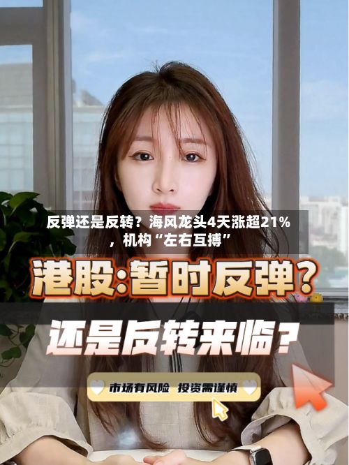 反弹还是反转？海风龙头4天涨超21%	，机构“左右互搏”-第1张图片