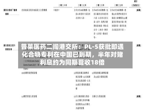 普莱医药二闯港交所：PL-5获批即遇化合物专利在中国已到期，半年对赌利息约为同期营收18倍-第1张图片