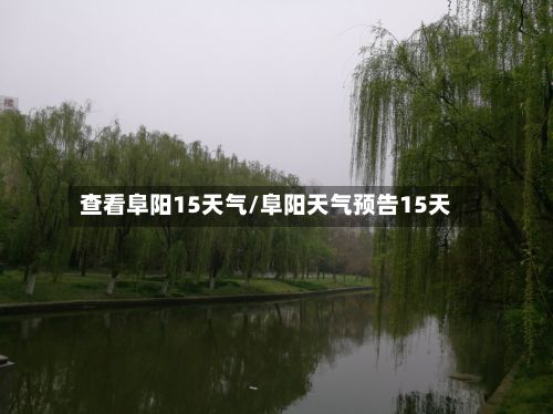 查看阜阳15天气/阜阳天气预告15天-第1张图片