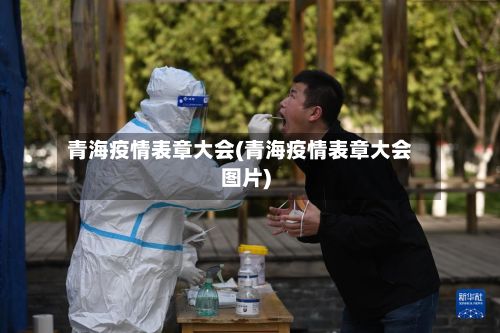青海疫情表章大会(青海疫情表章大会图片)-第1张图片