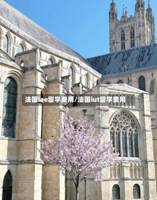 法国iae留学费用/法国iut留学费用-第1张图片