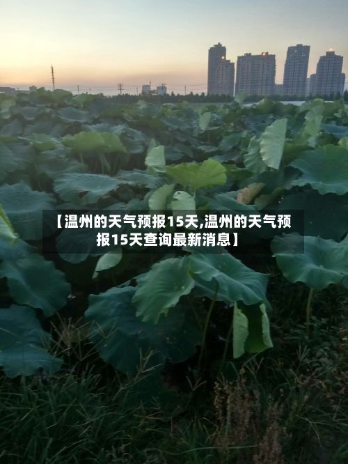 【温州的天气预报15天,温州的天气预报15天查询最新消息】-第1张图片