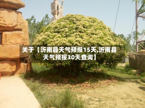 关于【沂南县天气预报15天,沂南县天气预报30天查询】-第1张图片