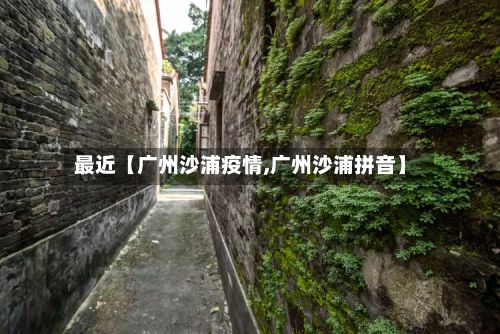最近【广州沙浦疫情,广州沙浦拼音】-第1张图片