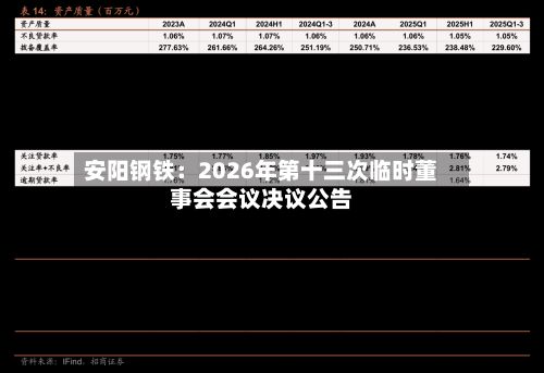 安阳钢铁：2026年第十三次临时董事会会议决议公告-第1张图片
