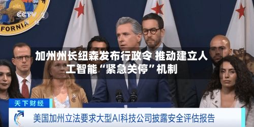 加州州长纽森发布行政令 推动建立人工智能“紧急关停”机制-第1张图片