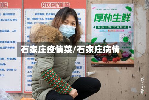 石家庄疫情菜/石家庄病情-第1张图片
