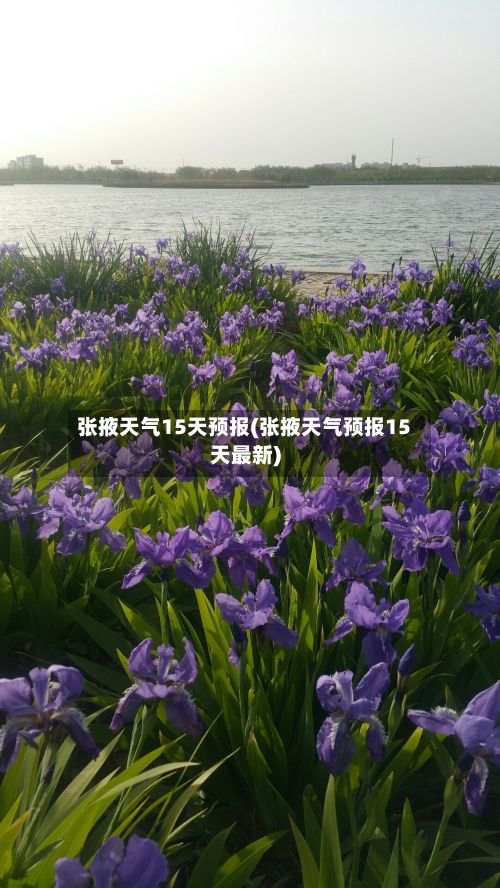 张掖天气15天预报(张掖天气预报15天最新)-第1张图片