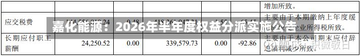 嘉化能源：2026年半年度权益分派实施公告-第1张图片