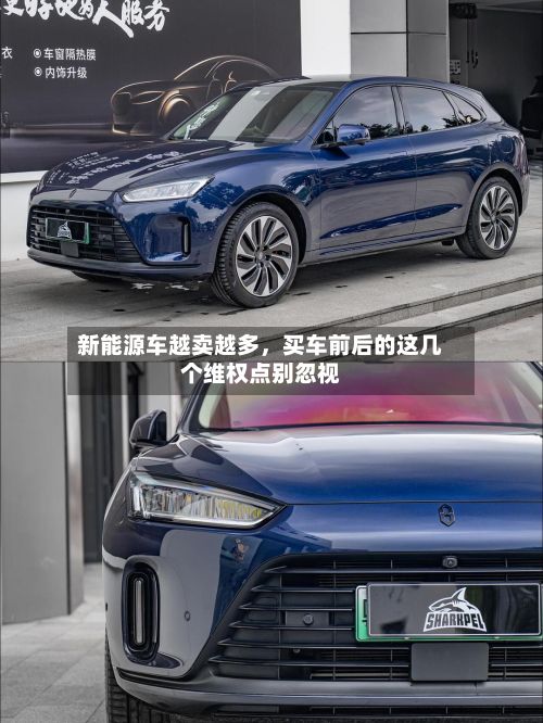 新能源车越卖越多，买车前后的这几个维权点别忽视-第1张图片