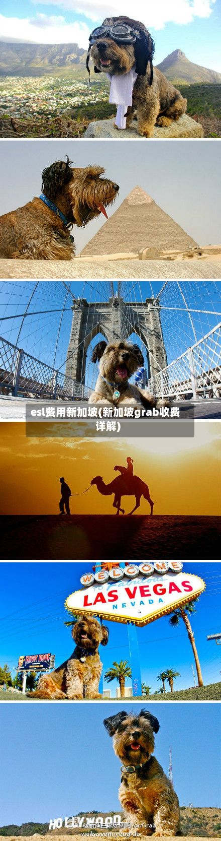 esl费用新加坡(新加坡grab收费详解)-第1张图片