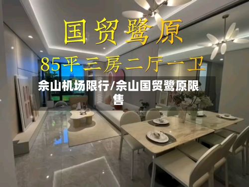 佘山机场限行/佘山国贸鹭原限售-第1张图片