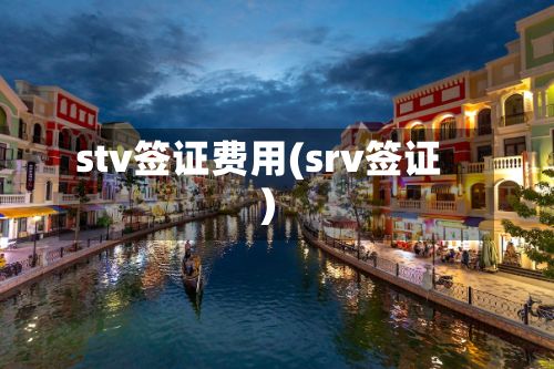 stv签证费用(srv签证)-第1张图片