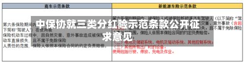 中保协就三类分红险示范条款公开征求意见-第1张图片