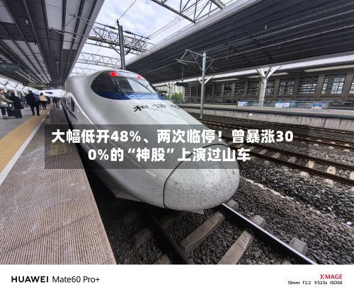 大幅低开48%、两次临停！曾暴涨300%的“神股”上演过山车-第1张图片