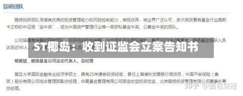 ST椰岛：收到证监会立案告知书-第1张图片