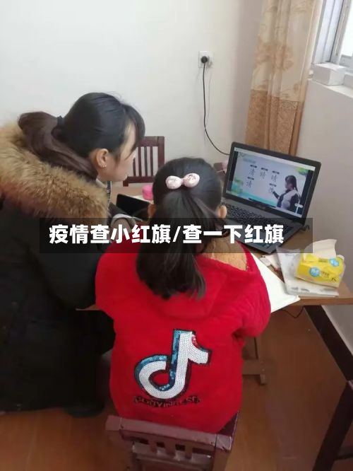 疫情查小红旗/查一下红旗-第1张图片