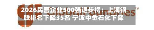 2026民营企业500强退步榜：上海钢联排名下降35名 宁波中金石化下降34名-第1张图片
