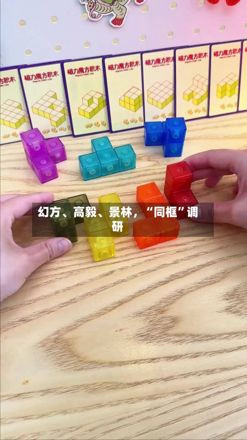 幻方	、高毅、景林	，“同框”调研-第1张图片