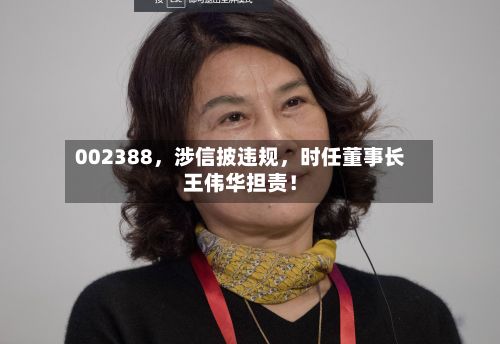 002388，涉信披违规	，时任董事长王伟华担责！-第1张图片