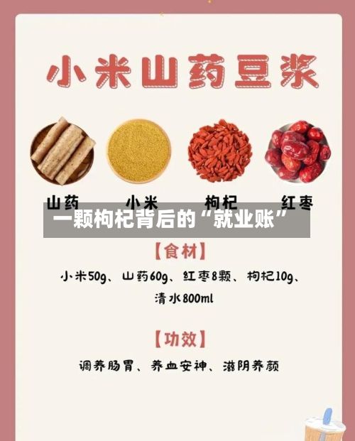 一颗枸杞背后的“就业账	”-第1张图片