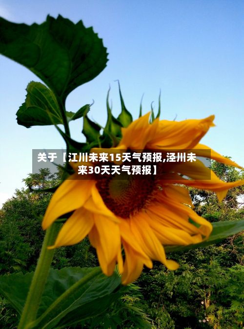 关于【江川未来15天气预报,泾川未来30天天气预报】-第1张图片