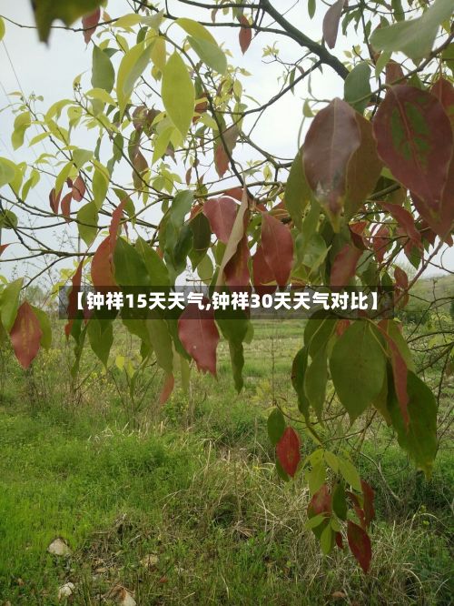 【钟祥15天天气,钟祥30天天气对比】-第1张图片