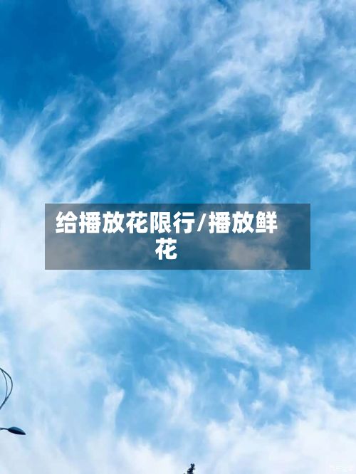 给播放花限行/播放鲜花-第1张图片