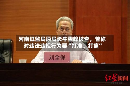 河南证监局原局长牛雪峰被查	，曾称对违法违规行为要“打准	、打痛”-第1张图片