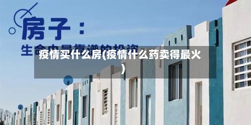 疫情买什么房(疫情什么药卖得最火)-第1张图片
