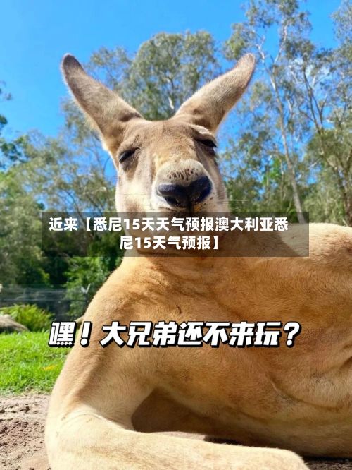 近来【悉尼15天天气预报澳大利亚悉尼15天气预报】-第1张图片