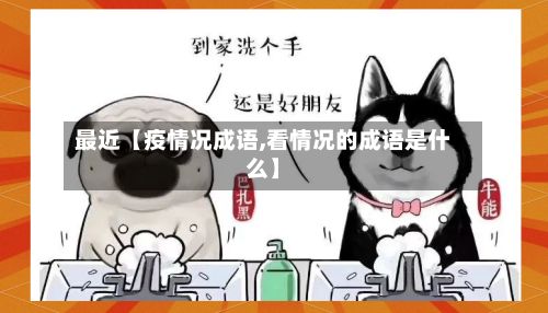 最近【疫情况成语,看情况的成语是什么】-第1张图片